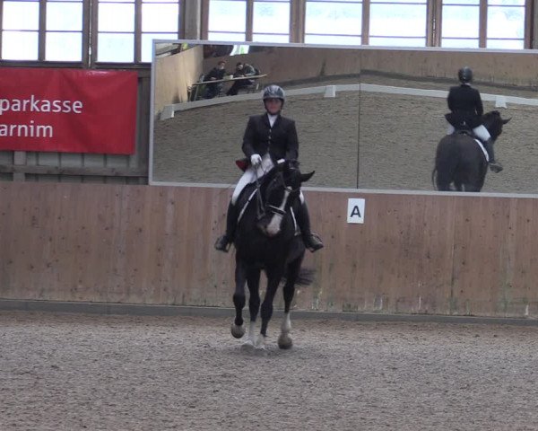 Reitturnier Elisenau 2023