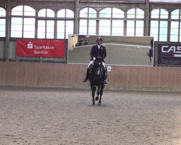 Reitturnier Elisenau 2023