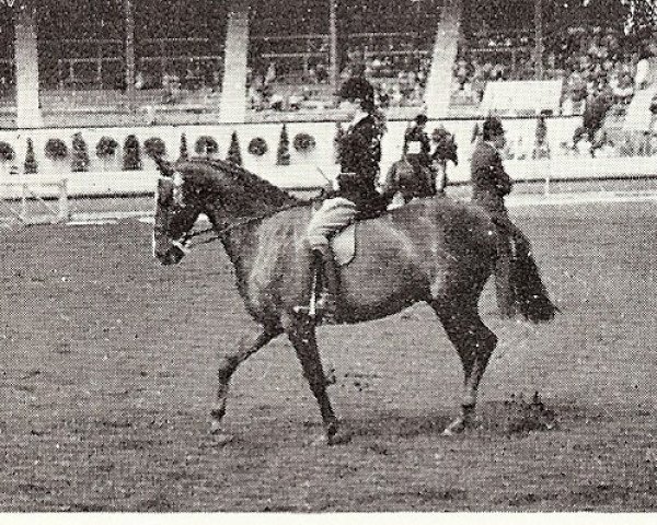 horse Royal Show (British Riding Pony, 1947, from Grey Metal xx)