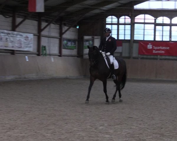 Reitturnier Elisenau 2023