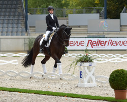 dressage horse Diamond's Deluxe R (Hanoverian, 2012, from Diamond Hit)