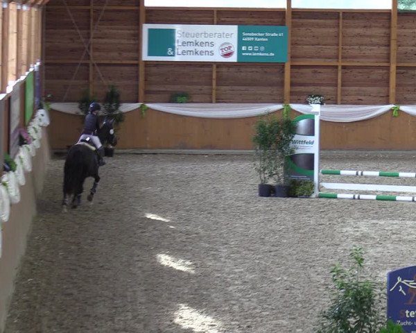 Reitturnier Xanten - Reitanlage Miss 2023