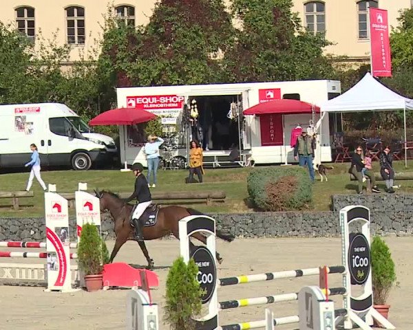 Reitturnier Frankenhof-Sonnefeld/Ofr. 2023