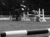 jumper Eitel 9 (Trakehner, 1992, from Isotop)