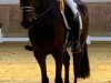 dressage horse Flora (Westphalian, 2020, from First Deal)