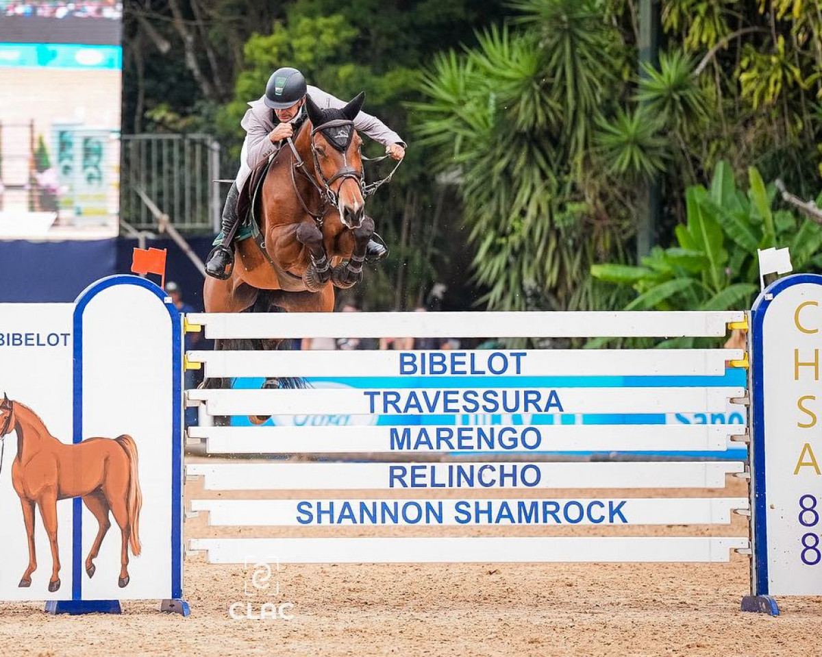 horse Hst Charlene Imperio Egipcio (Brazilian horse, 2012, from Chester Z)