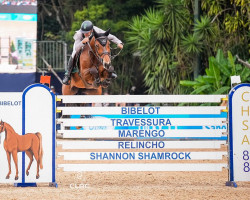 horse Hst Charlene Imperio Egipcio (Brazilian horse, 2012, from Chester Z)