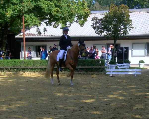 Reitturnier Bottrop-Kirchhellen 2023