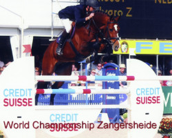 Deckhengst VDL Groep Chester Z (Zangersheide Reitpferd, 1999, von Calvaro Z)