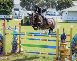 jumper Flyer B (KWPN (Royal Dutch Sporthorse), 2010, from Ad Unaniem)