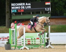 jumper Momo Deluxe (German Sport Horse, 2015, from Magic Memphis)