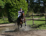 jumper Curly Sue 193 (Holsteiner, 2012, from Clinton H)