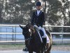 dressage horse Püppi de Luxe 2 (German Riding Pony, 2005, from FS Pour l'Amour)