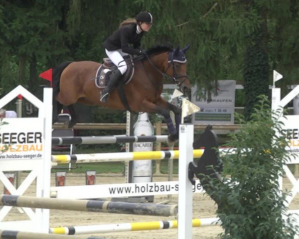 Springturnier Walldorf/Winterheck 2021