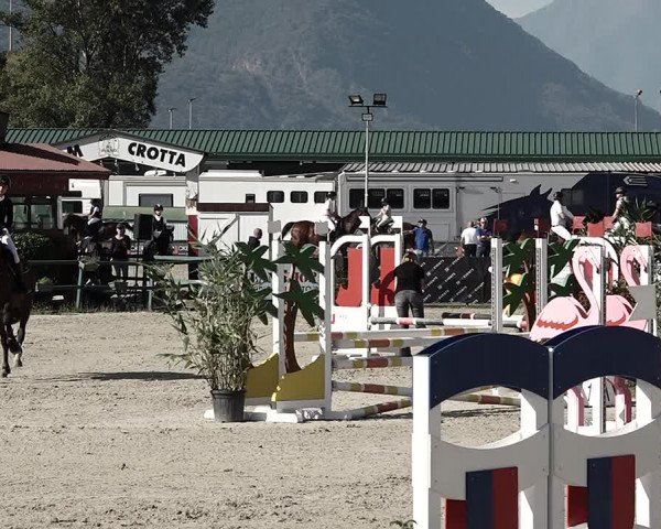 Reitturnier Giubiasco 2023