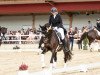 dressage horse Brianna C (Westphalian, 2014, from Bretton Woods)