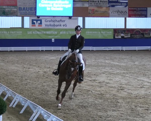 Reitturnier Isterberg 2023