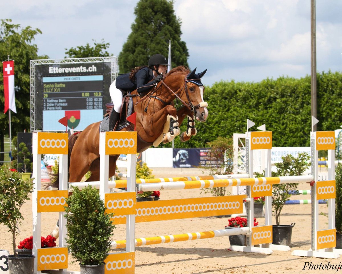 jumper Lilly 601 (Hanoverian, 2010, from Lamberk)
