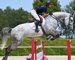 Springpferd Quicke van 't Hooghemelrijk (Belgisches Warmblut, 2016, von Ultimate de Kreisker)