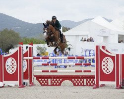 jumper Frisbee des Flagues (anglo european sporthorse, 2015, from Von Chacco Ixe)