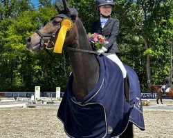 dressage horse Happies Little Sunshine (German Riding Pony, 2011, from Campari)