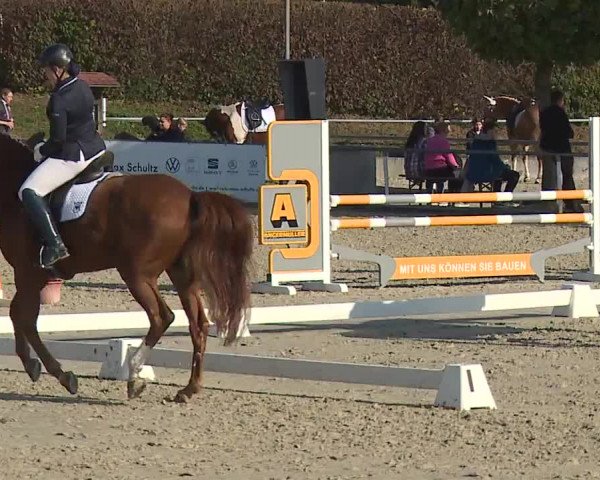 Reitturnier Frankenhof-Sonnefeld/Ofr. 2023