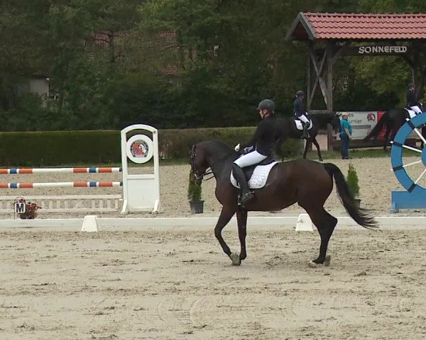 Reitturnier Frankenhof-Sonnefeld/Ofr. 2023