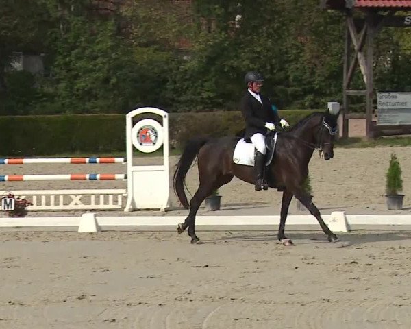 Reitturnier Frankenhof-Sonnefeld/Ofr. 2023