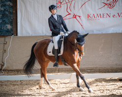 dressage horse Fräulein Farbenspiel (Westphalian, 2014, from Farbenspiel)