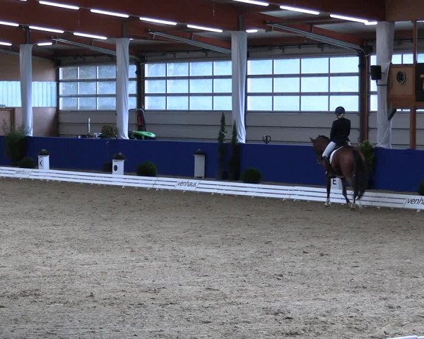 Reitturnier Isterberg 2023