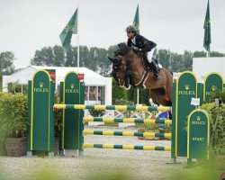 jumper Vivoucenta PS (Oldenburg show jumper, 2015, from Vivant)