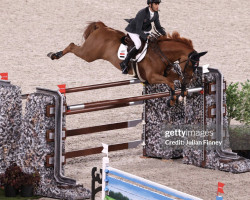 jumper Galanthos SHK (KWPN (Royal Dutch Sporthorse), 2011, from Arthos R)