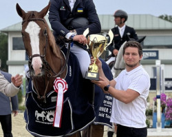 jumper Nouvelle D'Or van't Misthof (Belgian Warmblood, 2013, from Doree van de Moskifarm)