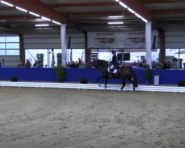 Reitturnier Isterberg 2023