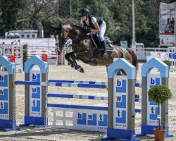 jumper Lisa (anglo european sporthorse, 2016, from Ledarco de Septon)