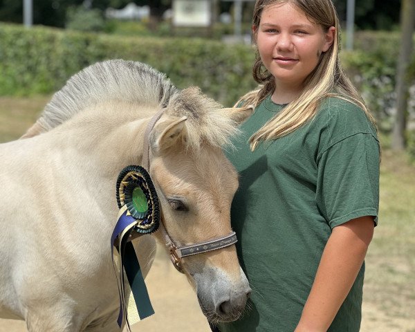 horse Trollgardens Fenja (Fjord Horse, 2023, from Finfin N.2601)