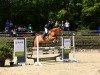 jumper Cipessa (Oldenburg show jumper, 2012, from Conoglio)