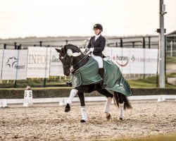 broodmare Fontenay 4 (Oldenburg, 2015, from Fürstenball)