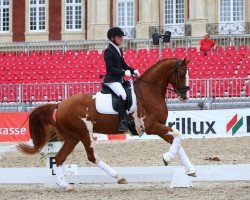 dressage horse Zaverio P (Westfale, 2019, from Zoom)