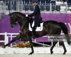 dressage horse Wispering Romance (Hanoverian, 2003, from Weltmeyer)