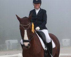 dressage horse Barolo 68 (Hanoverian, 2013, from Bonifatius)