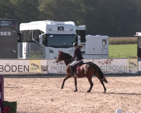 Reitturnier Ranshofen - Braunau am Inn 2023