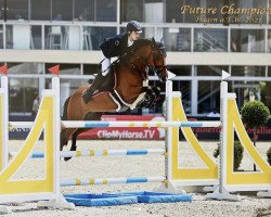 jumper Swarovski (Belgian Riding Pony, 2014, from Anydale Ron)