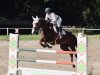 jumper For Rock'n Roll (Oldenburg show jumper, 2008, from For Pleasure)