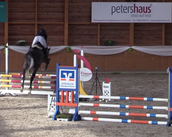 Reitturnier Xanten - Reitanlage Miss 2023