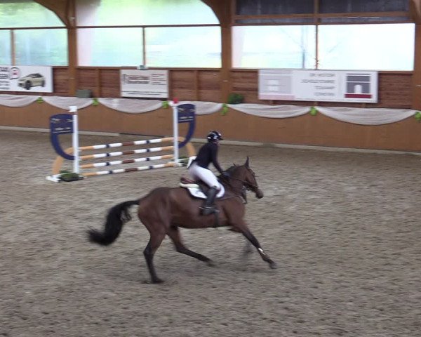 Reitturnier Xanten - Reitanlage Miss 2023