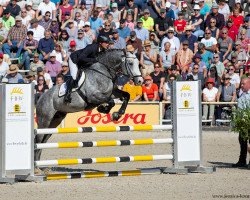 stallion Colour Guard (German Sport Horse, 2019, from Colorit)