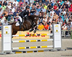 jumper FBW Mata Hari (German Sport Horse, 2017, from Million Dollar)