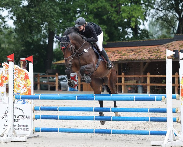 jumper Candy Crush (Westphalian, 2017, from Cornet Obolensky)