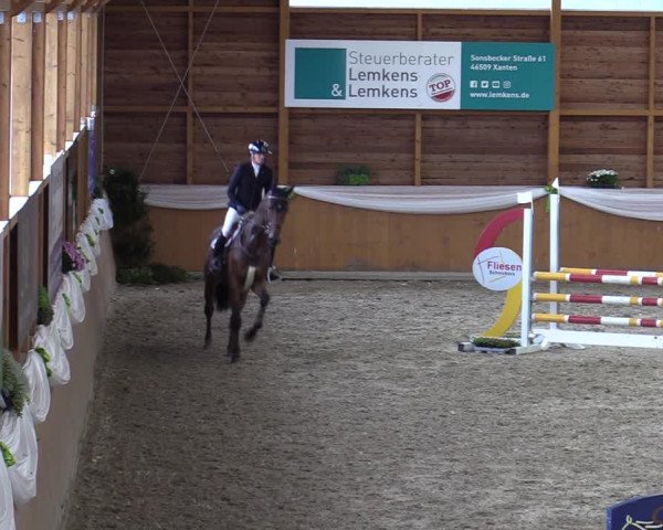 Reitturnier Xanten - Reitanlage Miss 2023